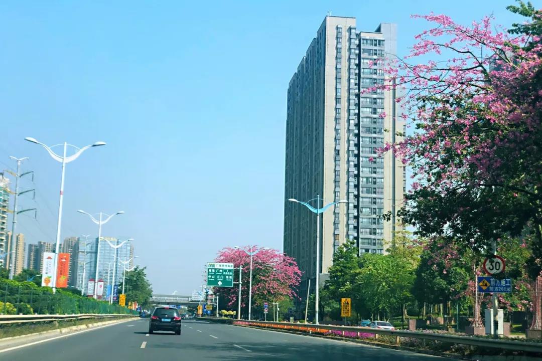 環(huán)境部印發(fā)《規(guī)劃環(huán)評技術(shù)導則 總綱》，項目環(huán)評部分章節(jié)可簡化